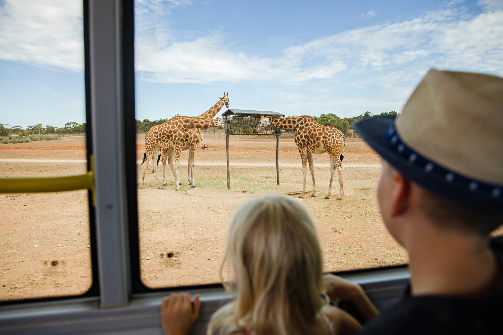 monarto safari park experiences