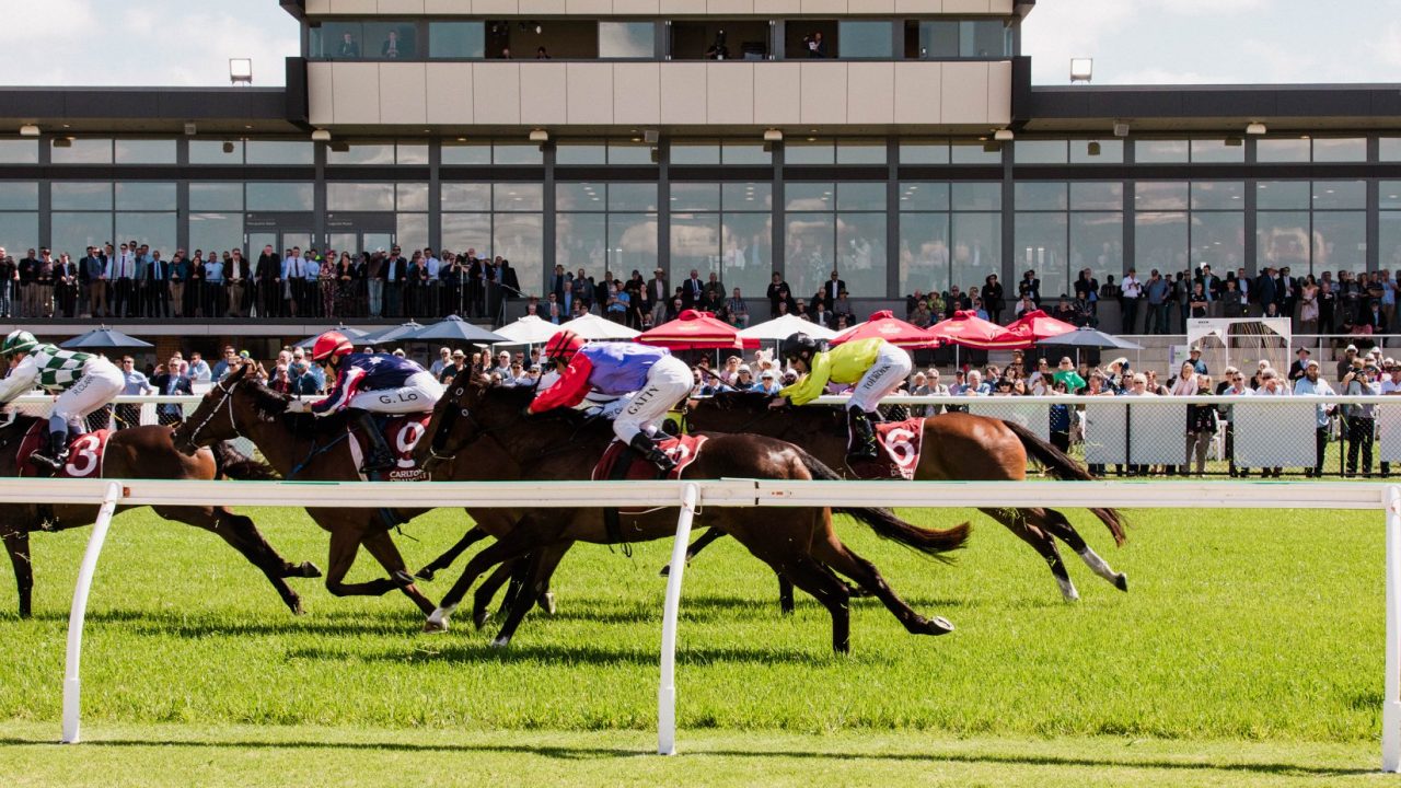 horses in front of grandstand