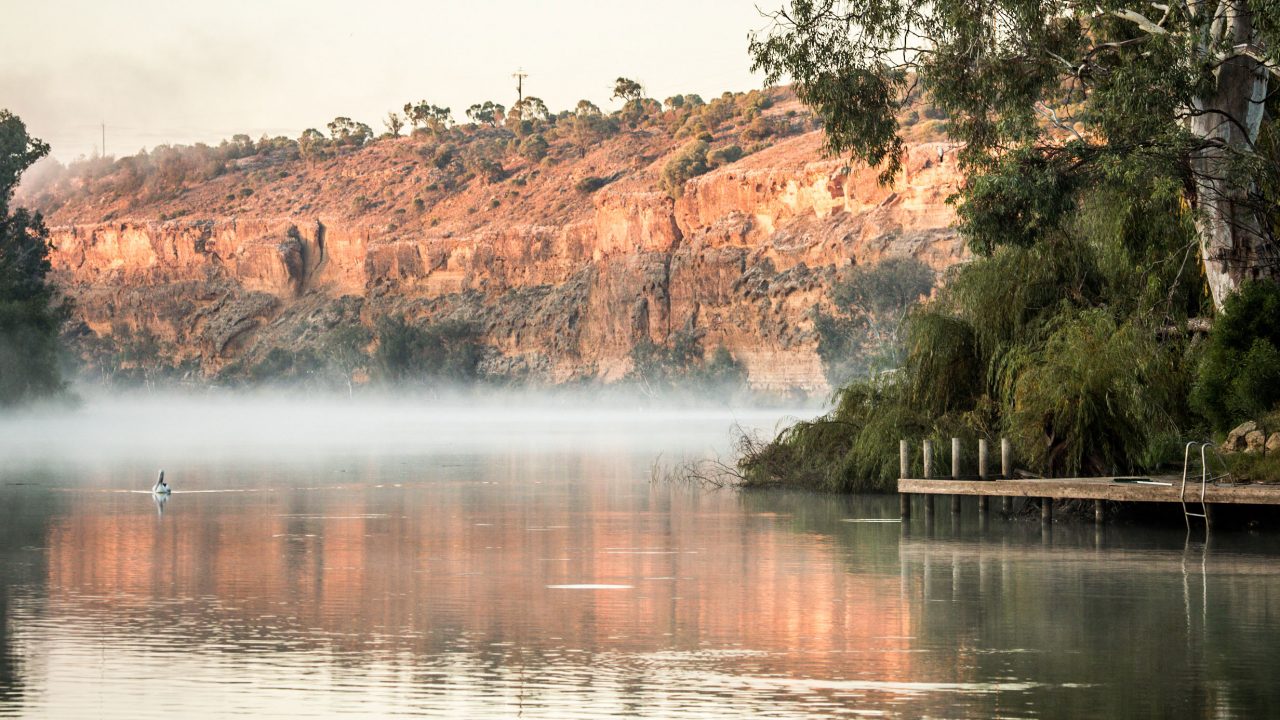redgums-murray-river-pelican-in-mist-david-hartley