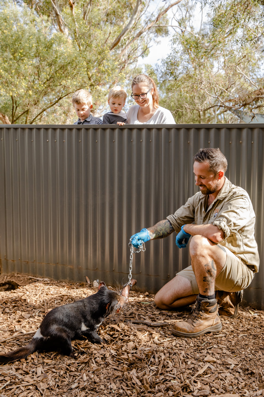 monarto safari park experiences