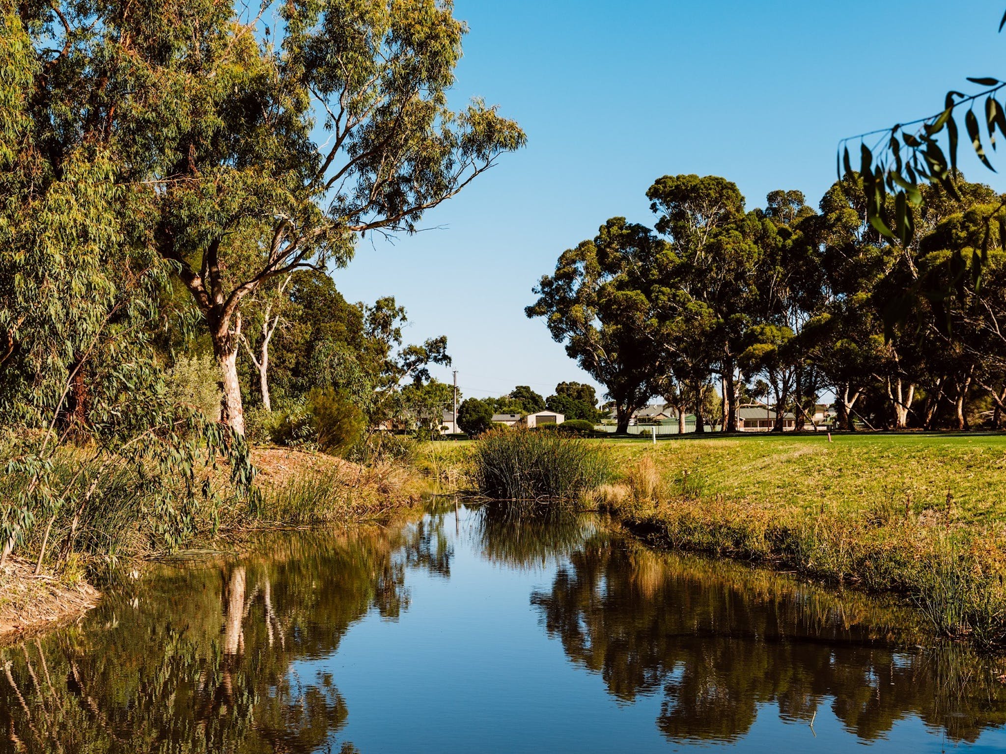 The Murray River - Murray River Lakes and Coorong