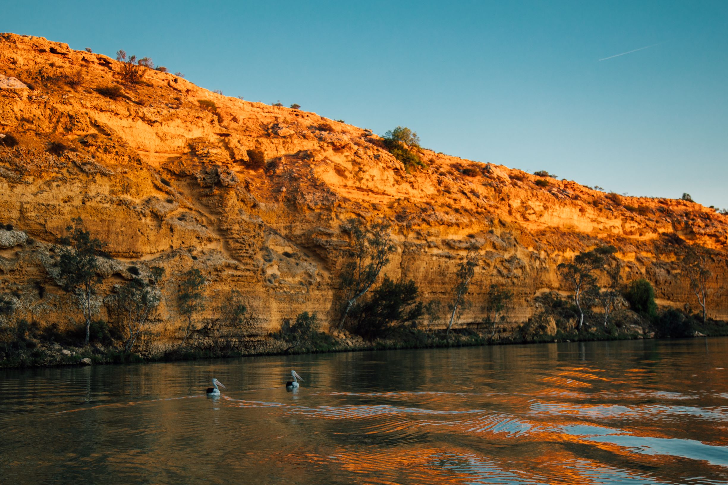 big-bend-cliffs