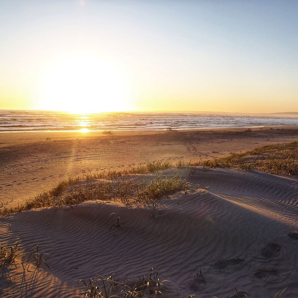 coorong-national-park