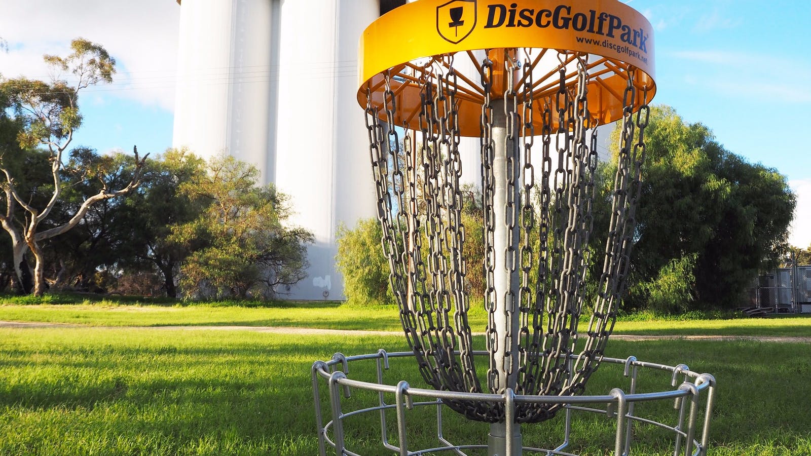 disc-golf