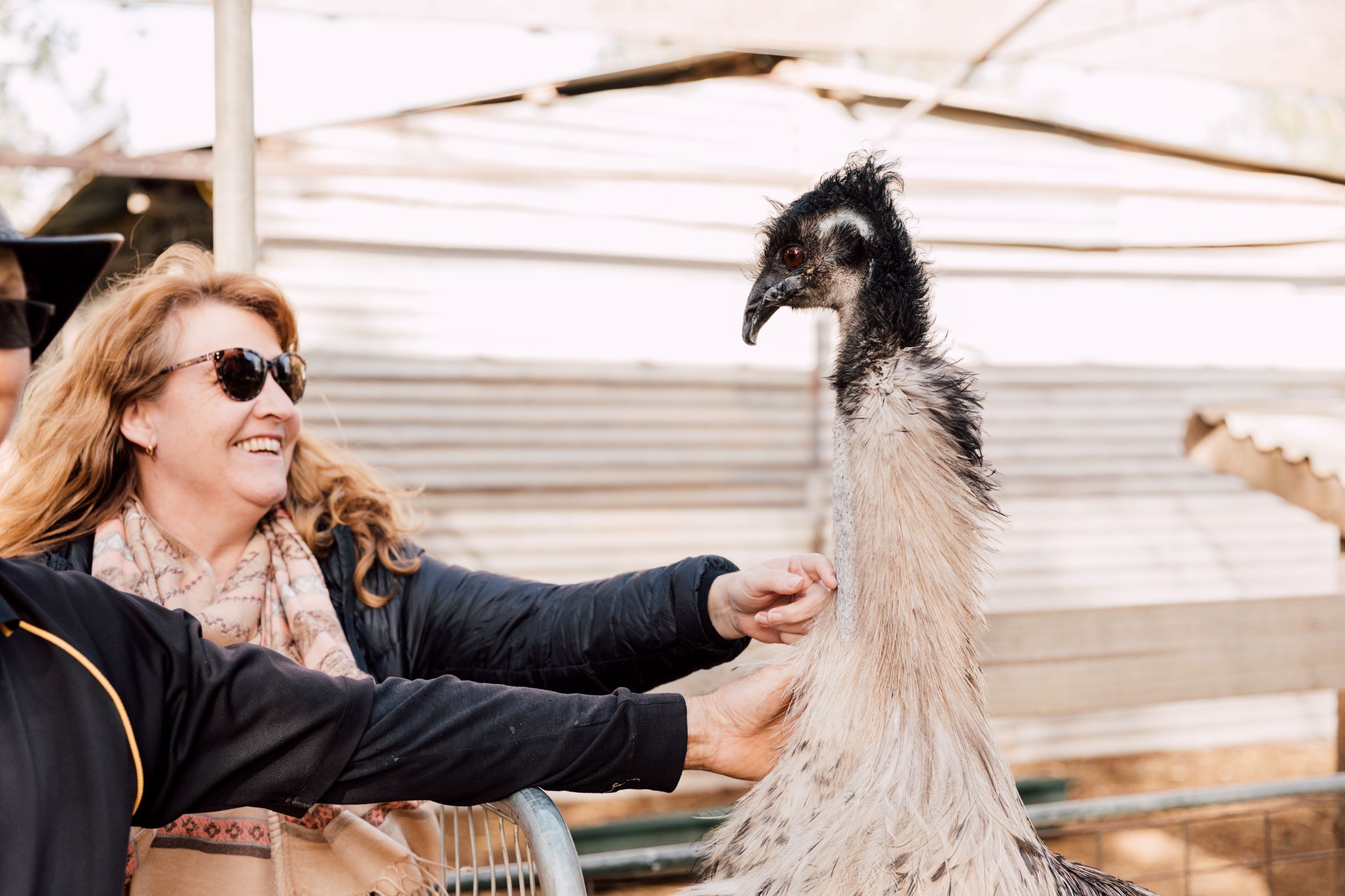 emu-big-bend