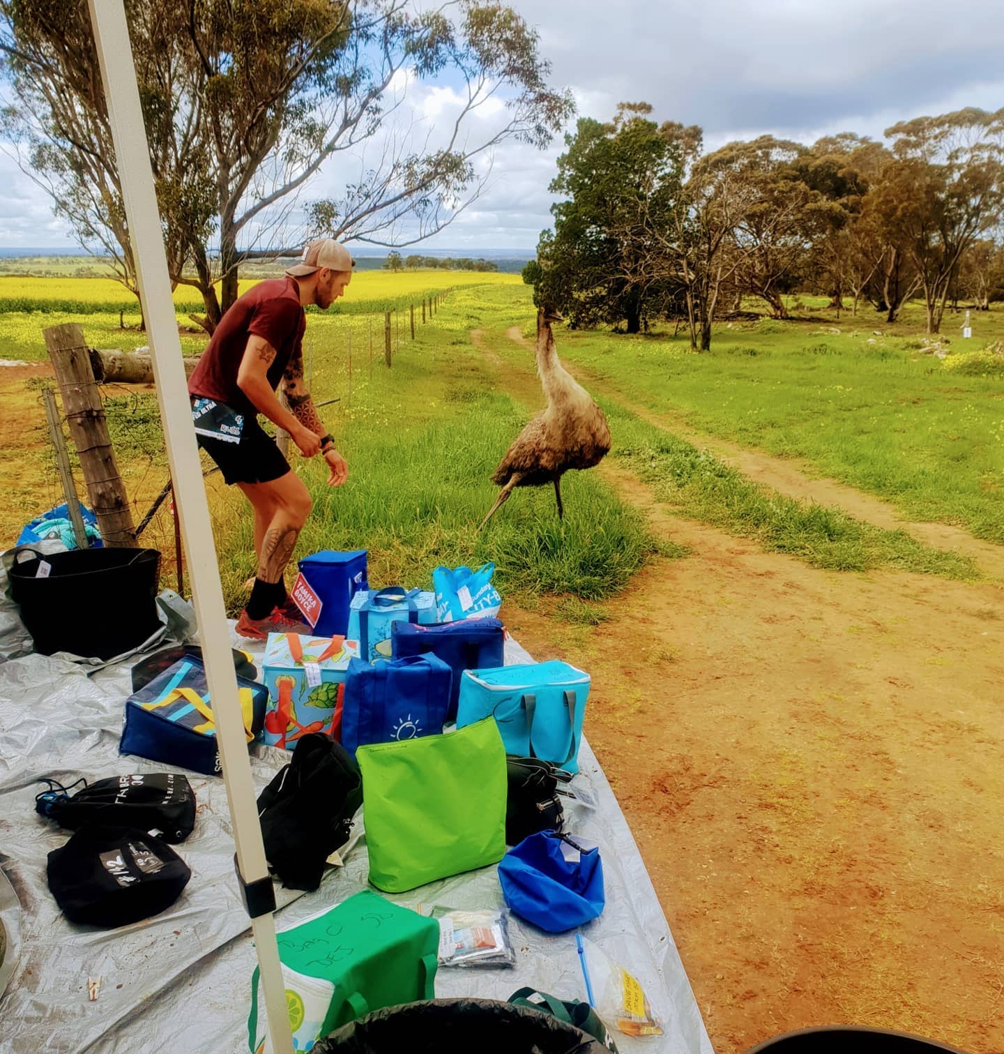 emu-murray-river