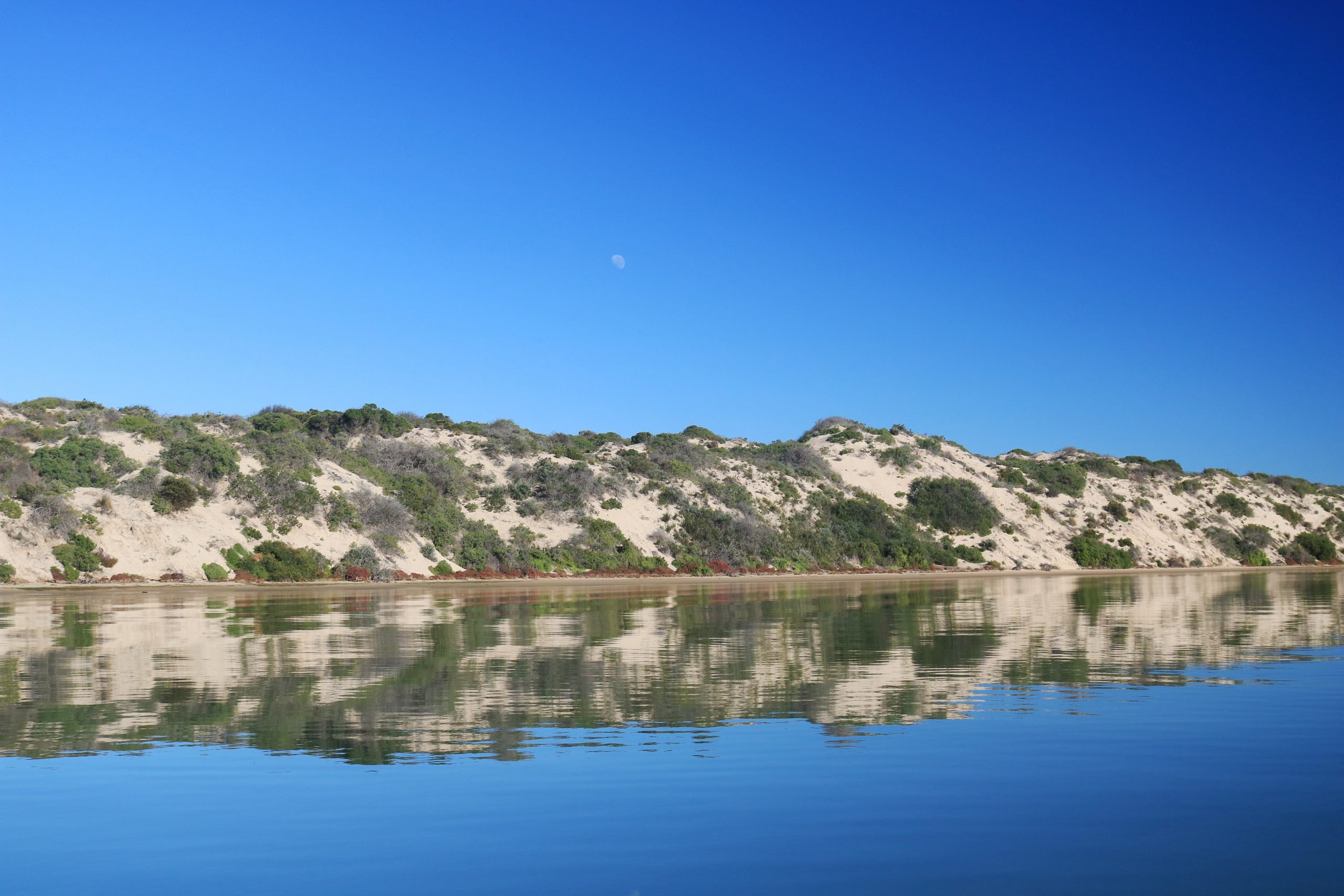 glenys-coorong