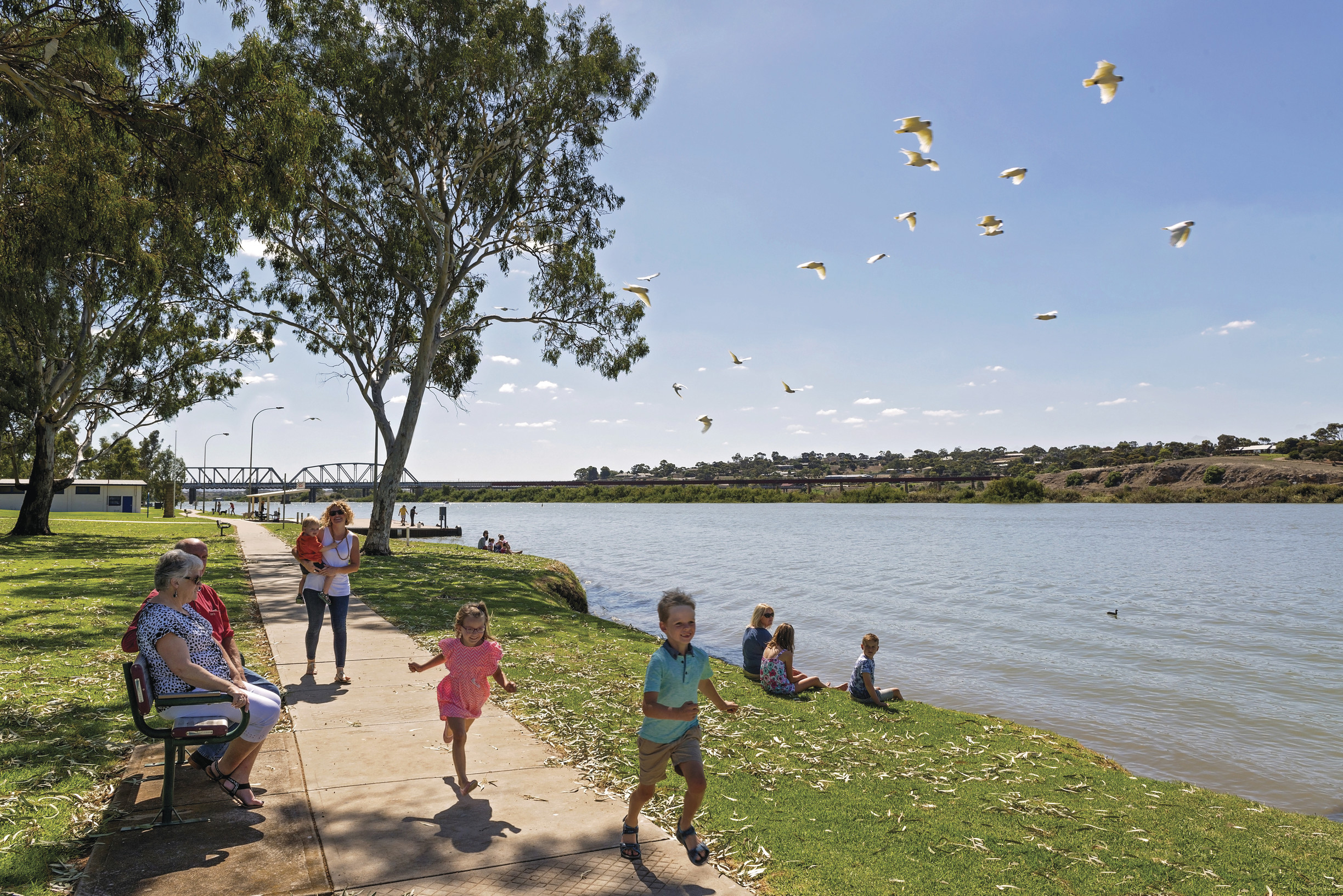 Murray Bridge Foreshore Reserve