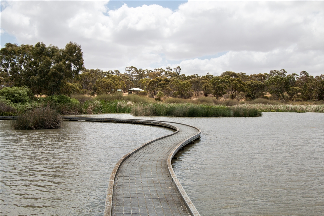 swanport-wetlands