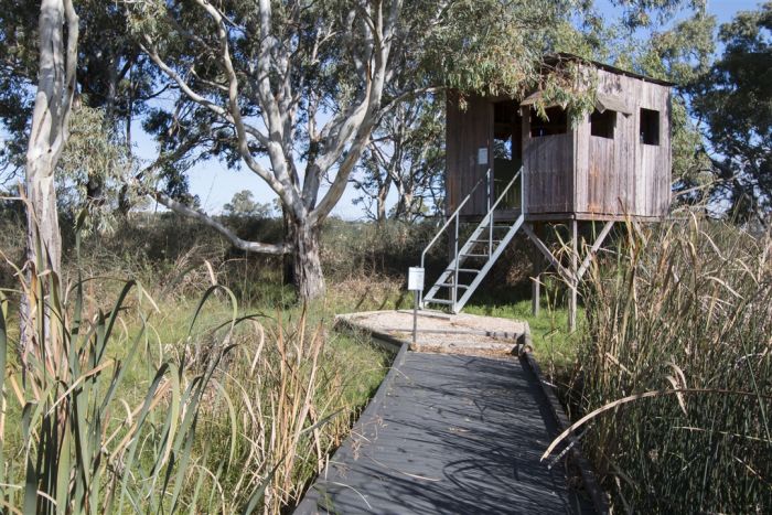 swanport-wetlands-birdhide