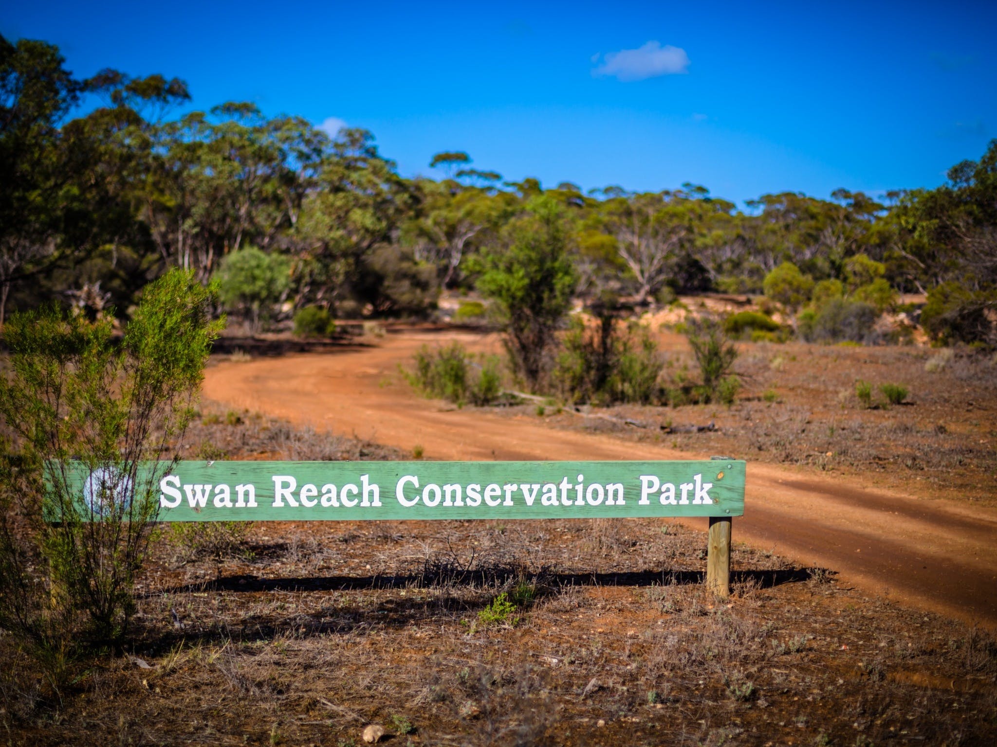 Swan Reach Conservation Park Murray River Lakes And Coorong swan-reach-conservation-park-murray-river-lakes-and-coorong