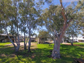 Shady gum trees on a grassy lawn near holiday cabins and caravans.